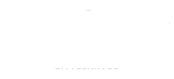 LittleAngel